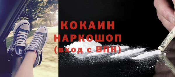 ешки Бородино