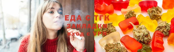 spice Богородицк