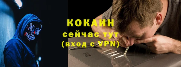 ешки Бородино
