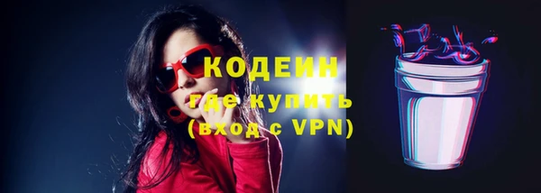 ешки Бородино