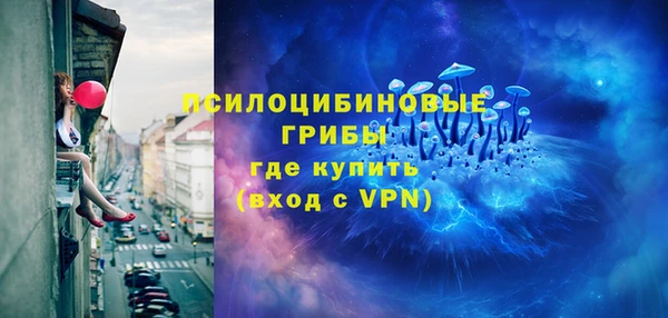 ешки Бородино