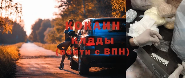 ешки Бородино