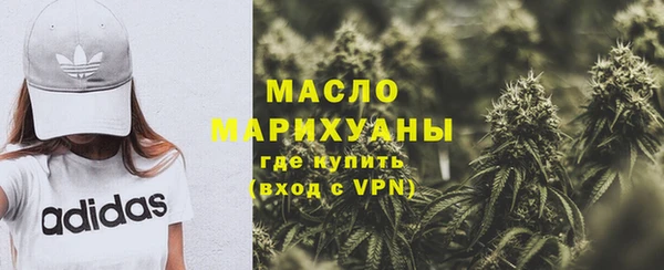 ешки Бородино