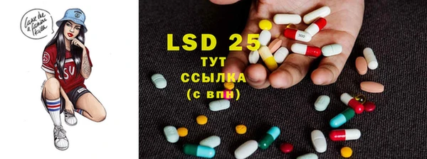 ПСИЛОЦИБИНОВЫЕ ГРИБЫ Богданович