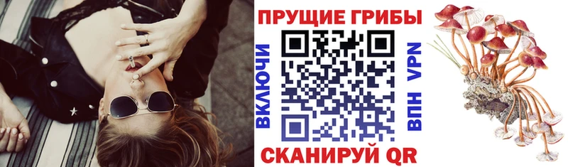 Галлюциногенные грибы мухоморы  Ульяновск 
